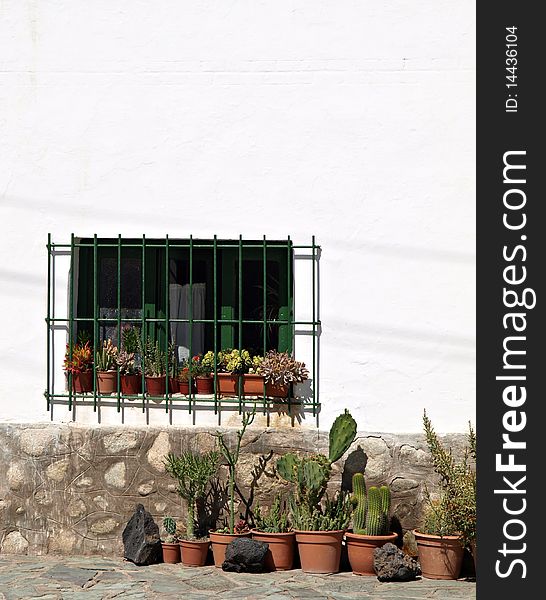 Pots of cactus in front of a house with white & stone wall from Cachi Argentina. Pots of cactus in front of a house with white & stone wall from Cachi Argentina