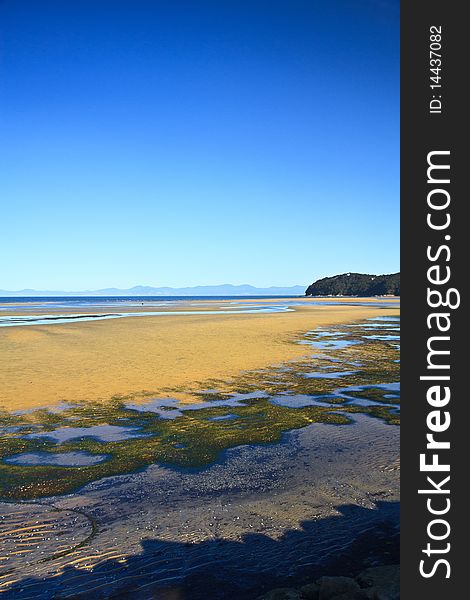 It'a low tide shot where seaweed are visible. It's taken in New Zealand.