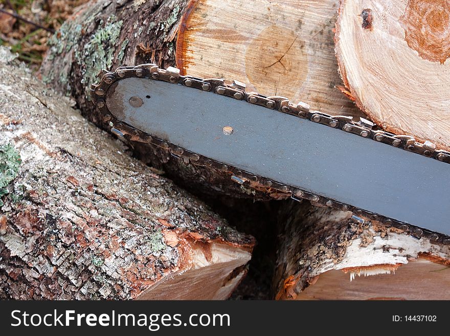 Chainsaw blade against a fresh cut wood - focus on the blade