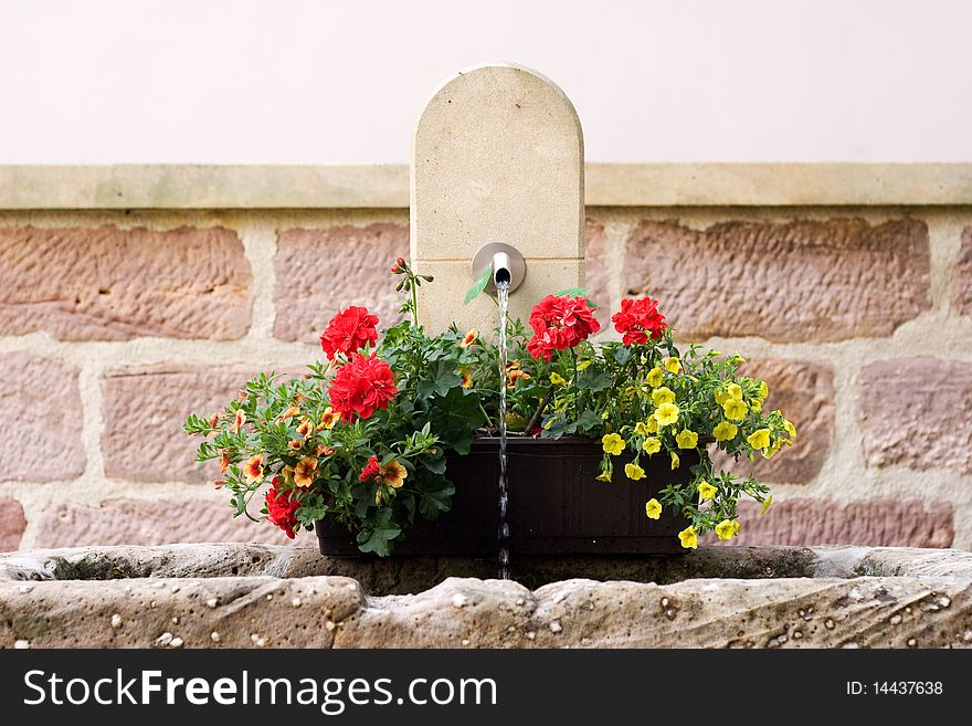 Spring Flowers on natural stone water fountain. Spring Flowers on natural stone water fountain