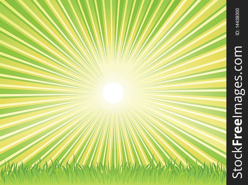 Vector color summer background with grass. Vector color summer background with grass.