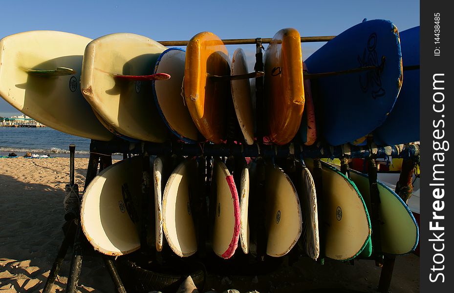 Surfboards are ready to rent to tourist in Waikiki