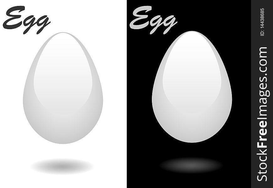 Vector, white, glossy egg for any use. Vector, white, glossy egg for any use