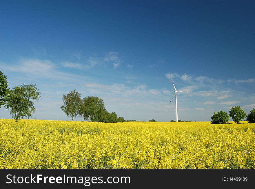 Wind turbine on yellow field of oilseed in the springtime. Wind turbine on yellow field of oilseed in the springtime