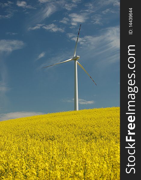 Wind turbine on yellow field of oilseed in the springtime. Wind turbine on yellow field of oilseed in the springtime