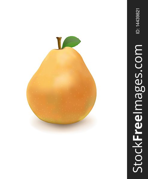 Freash pear vector illustration on white