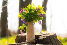 A Bouquet Of Forest Flowers. Beautiful Flowers Vase With Flowers In Nature Stock Images