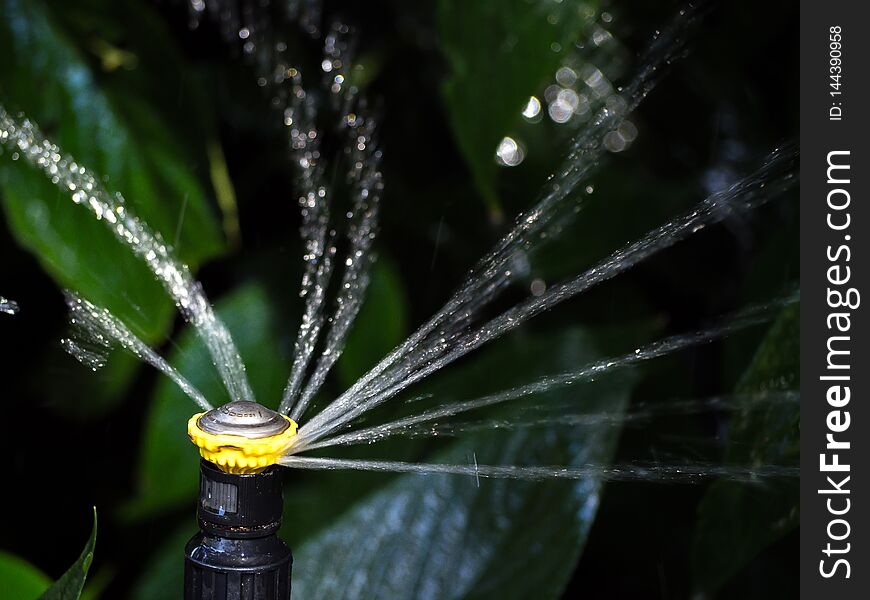 The Water splashing surround from the head of automatic sprinkle watering pipe with dark background.