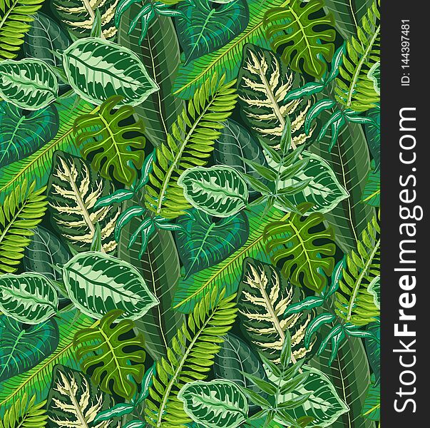 Vector seamless pattern with tropical palm leaves, jungle plants.