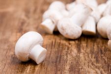Fresh Champignon Stock Photography Fresh Champignon Stock Photography