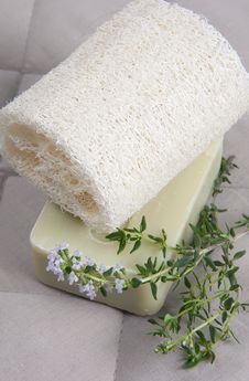 Natural Lufah Sponge With Thyme Soap Stock Photos Natural Lufah Sponge With Thyme Soap Stock Photos
