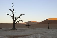 Deadvlei Stock Photography Deadvlei Stock Photography