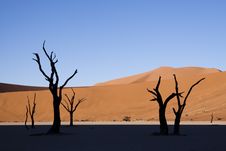 Deadvlei Royalty Free Stock Photography Deadvlei Royalty Free Stock Photography