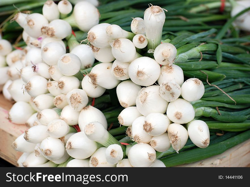 These bunches of young white onions were stacked at a market stand in Yorktown, Va. These bunches of young white onions were stacked at a market stand in Yorktown, Va.