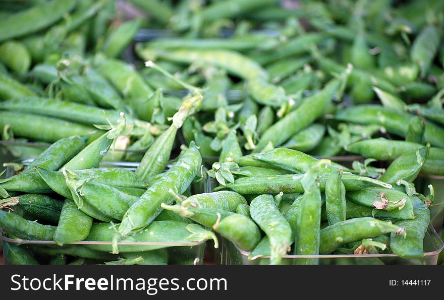 Sugar Snap Peas