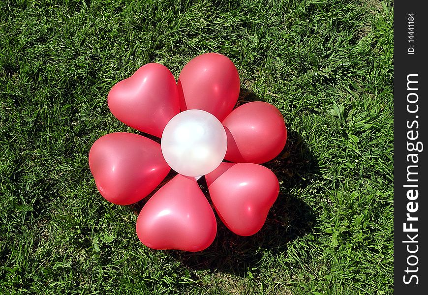 Balon flower on the green grass