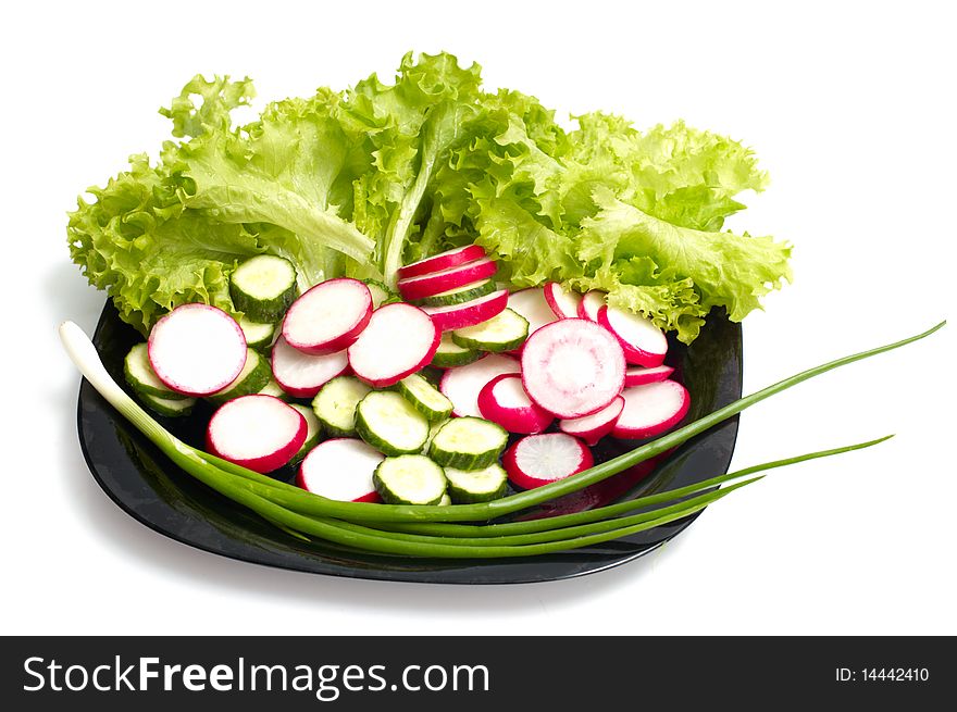 Fresh cucumber, radish and Lettuce