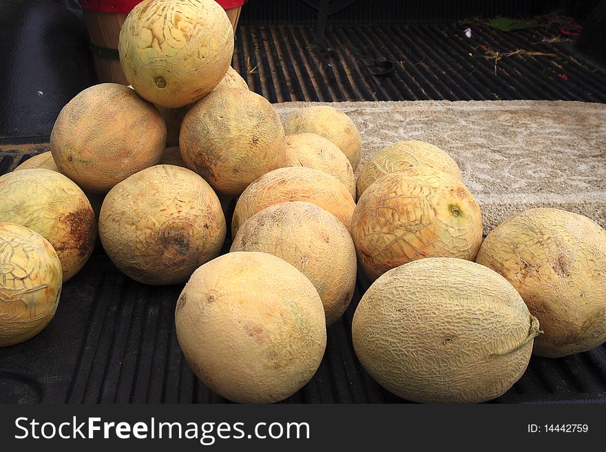 Cantalope for sale of the truck bed at the farmers market. Cantalope for sale of the truck bed at the farmers market