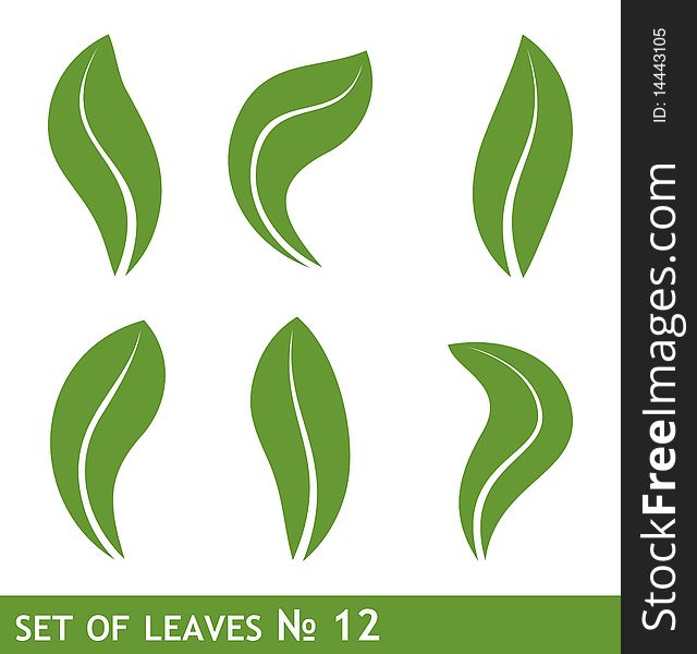 Illustration of leaves set for design. Vector