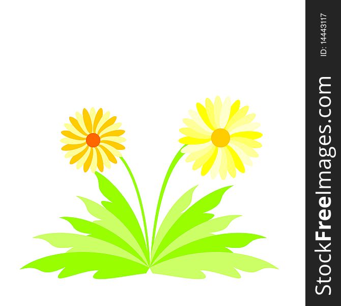 Illustration of spring flowers for design. Vector. Illustration of spring flowers for design. Vector