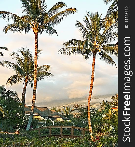 A condo resort located in Kihei, Hawaii. A condo resort located in Kihei, Hawaii