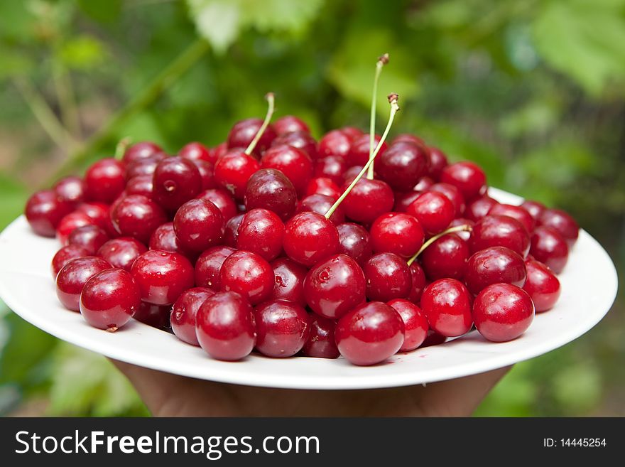 Tasty cherries on the plate outdoors