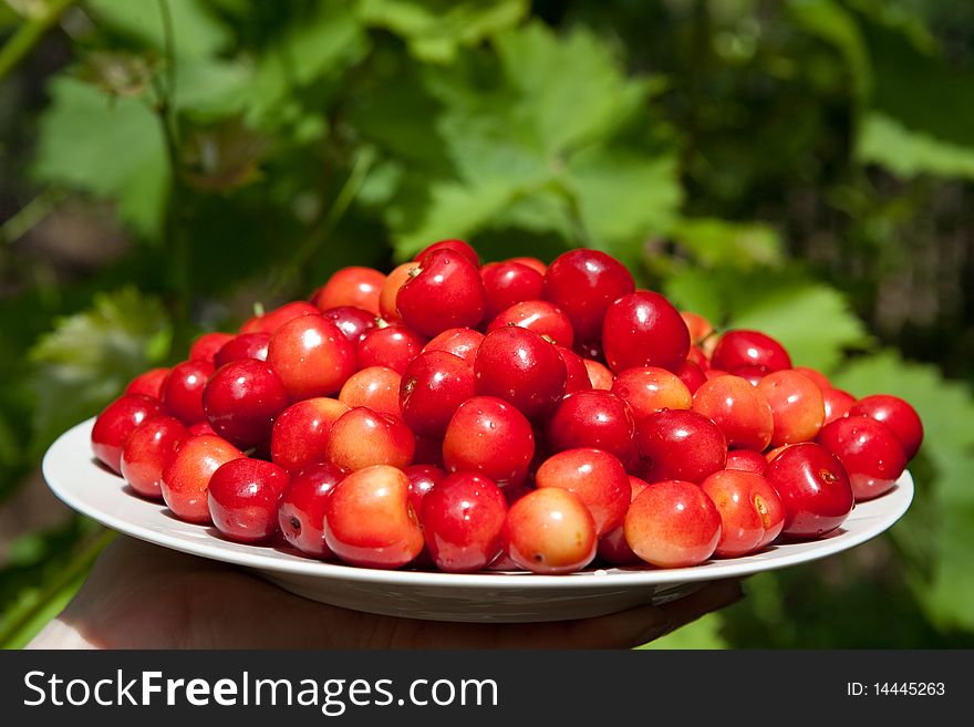 Tasty cherries on the plate outdoors