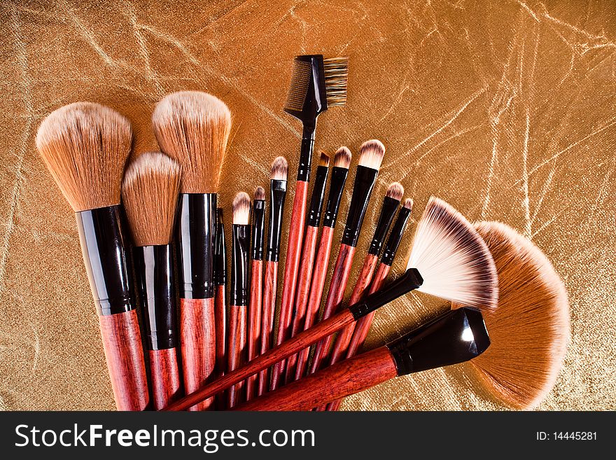 Professional cosmetics brushes