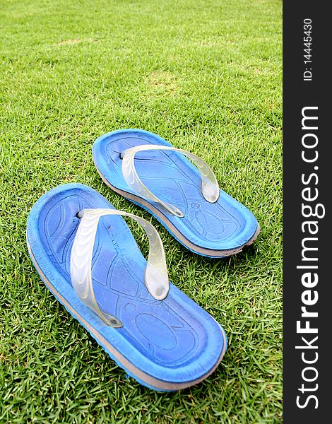 A pair of blue Flip Flop on Grass