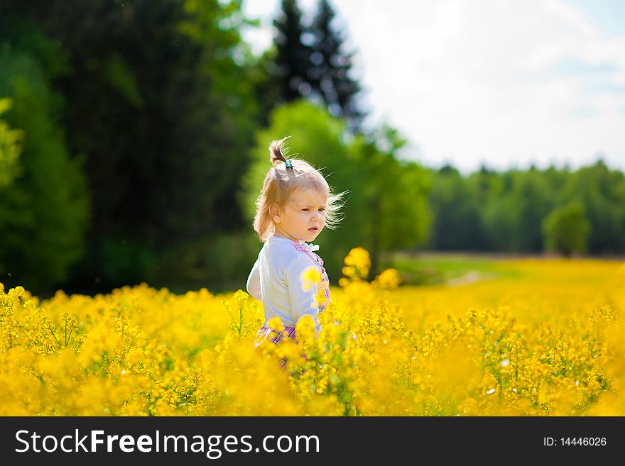 Little girl on the meadow