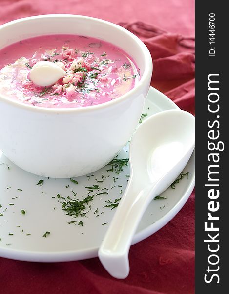 Cold vegetable soup with beet, cucumber, radisih and egg