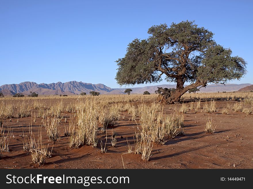 Landscape scene in Naukluft national park in Namibia. Landscape scene in Naukluft national park in Namibia