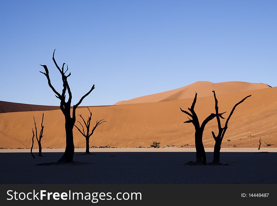 Silhouette of trees at dead Vlei in Namibia, with orange sand dunes in the background. Silhouette of trees at dead Vlei in Namibia, with orange sand dunes in the background