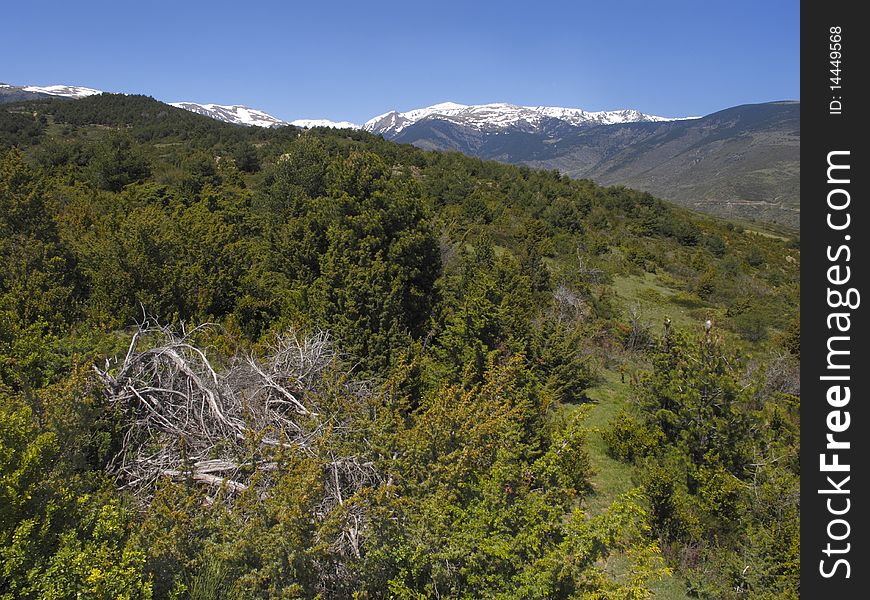 View of Cerdanya at the Pyrenees, Catalonia, Spain