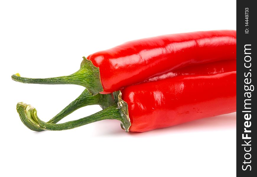 Red chili pepper. Close up. White background