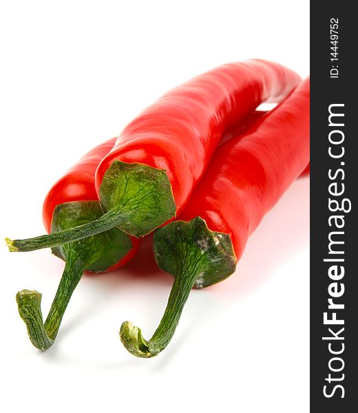 Red chili pepper. Close up. White background