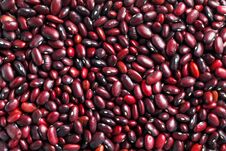 Closeup Of A Grain Of Red Bean Seeds. The Texture Of The Legumes. Close Up Red Beans Background, Seeds Of Red Beans Royalty Free Stock Images