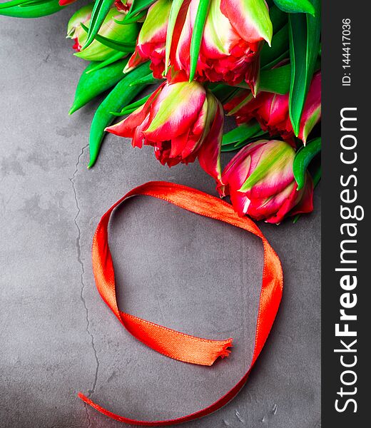 Symbols of memory 9 May, 23 February card concept. Red tulip and red ribbon