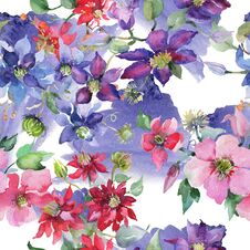Clematis Bouquet Floral Botanical Flowers. Watercolor Background Illustration Set. Seamless Background Pattern. Stock Photography