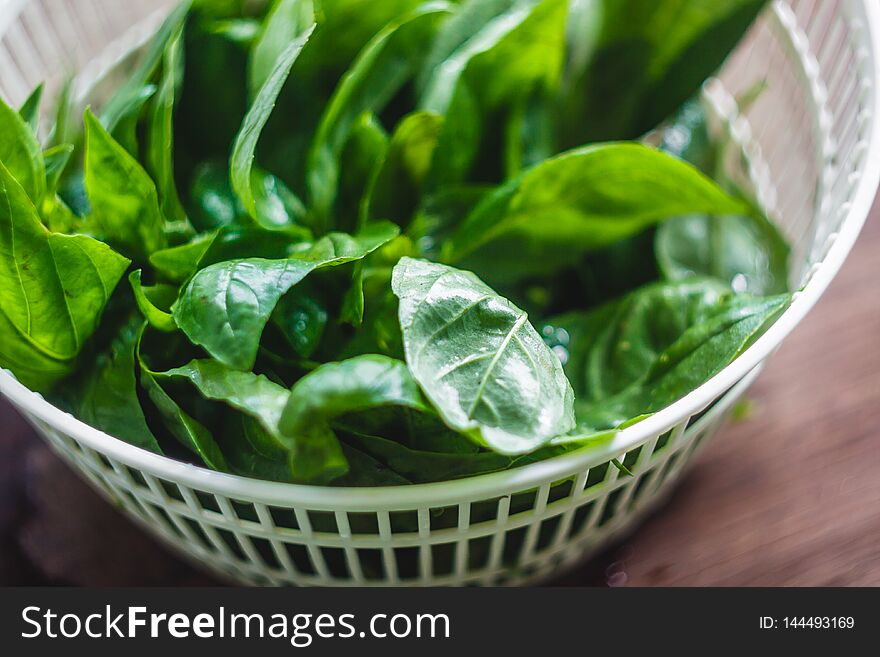 Fresh basil leaves in the dryer for greens