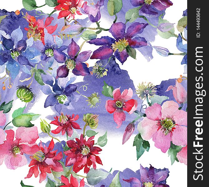 Clematis bouquet floral botanical flowers. Watercolor background illustration set. Seamless background pattern.