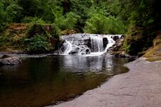 Sweet Creek Falls Stock Images