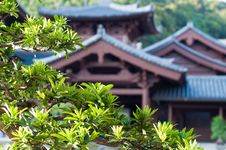 Chi Lin Nunnery, Hong Kong. Stock Photo Chi Lin Nunnery, Hong Kong. Stock Photo