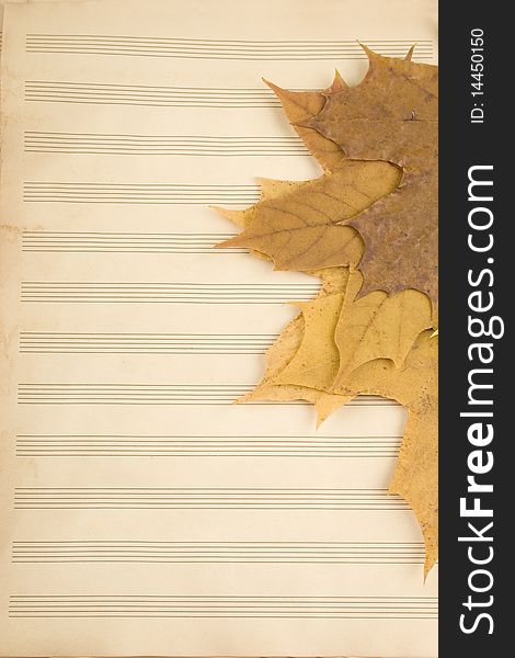 The old music books which are autumn leaves of maple. The old music books which are autumn leaves of maple