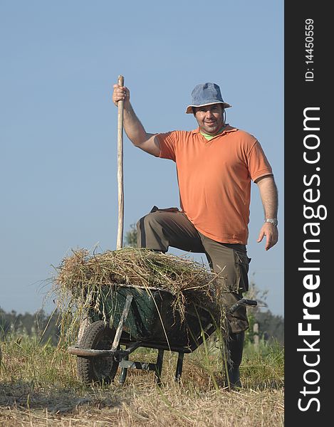 Farmer finish  loading a wheelbarrow with a haystack  with a pitchfork. Farmer finish  loading a wheelbarrow with a haystack  with a pitchfork