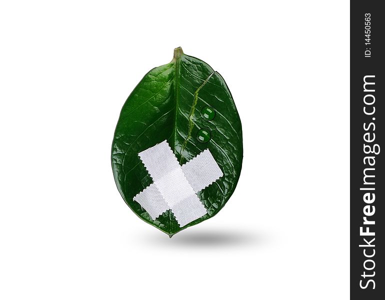 Wounded and suffering leaf - a symbol of environmental protection. Save our environment.