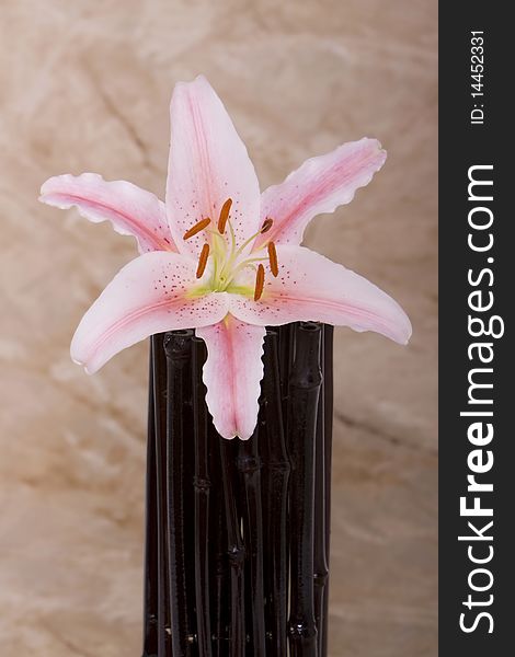 Pink lily flower on top of bamboo material