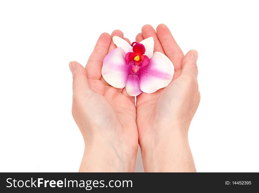 Woman Holding Orchid