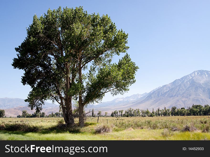 Farmland in the western United States