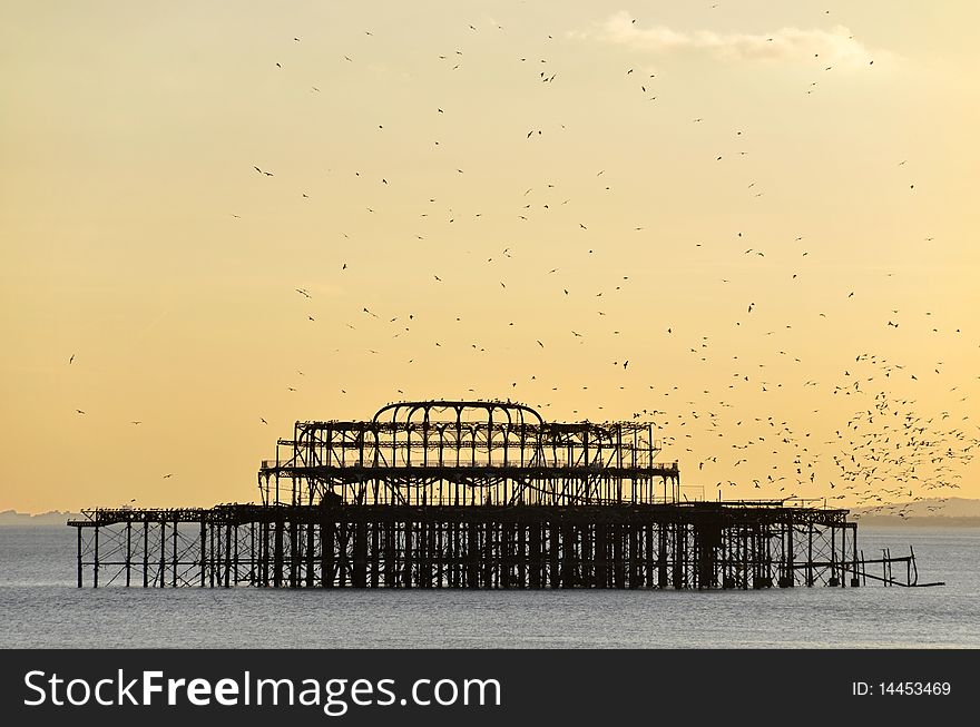 A flock of gulls above the old Brighton pier